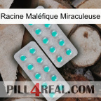 Racine Maléfique Miraculeuse 29